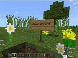 Minecraft education – bygg lokalmiljøet